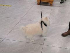 -达爱动物医院·犬猫分区·CT·复杂眼科(远洋山水分院)
