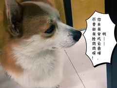 景观位-小梁哥云吞面(黄贝岭店)