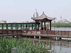 -莲花池公园