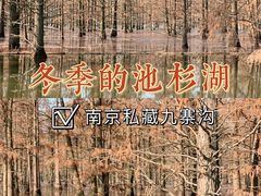 -池杉湖湿地公园