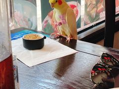 -紅楼酒家(朱家角店)