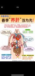 -克丽缇娜