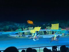 -鼎盛王朝康熙大典实景演出