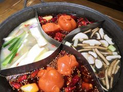 -白乐天毛肚火锅馆(解放碑店)