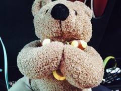 -济州岛泰迪熊博物馆