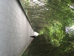 iphone_upload_pic-望江楼公园