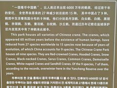 -盐城丹顶鹤湿地生态旅游区