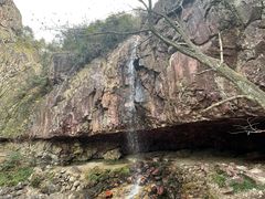 -四明山国家森林公园