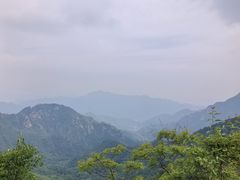 -大岭沟猕猴桃谷风景区