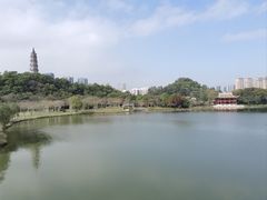-顺峰山公园