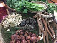 -昆虫窝子·特色云南菜(拓东路总店)