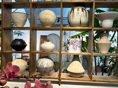 -自由生长植物工作室(深港花卉中心店)