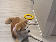 -YCHL Studios健身工作室(市二宫店)