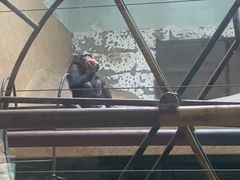 -辛玛王国游乐园