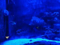 -暹罗酒肆泰餐厅酒吧