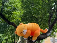 -西安电影制片厂