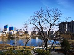 -西海子公园
