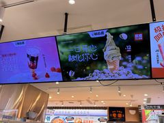 -极拉图·现制冰淇淋(大卫城店)