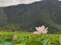 -西昌邛海湿地