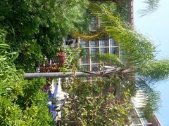 android_upload_pic-三亚亚龙湾红树林度假酒店