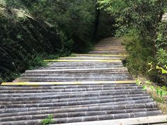 -黄金寨原生态旅游区