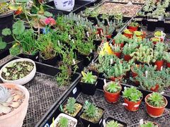 -四川农业大学(雅安校区)