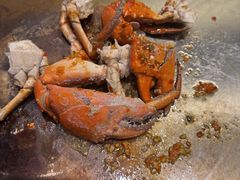 -铁板诱惑法式铁板烧(大卫城店)