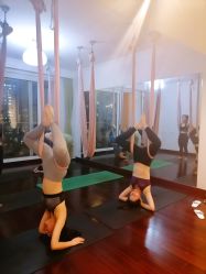 -Yvon yoga 瑜伽·精准体态管理中心