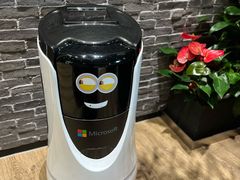 -微软中国有限公司(上海分公司)