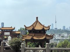 -黄鹤楼公园(黄鹤楼)