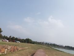 -西京湾花海
