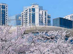 -龙美术馆(西岸馆)