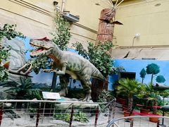 -国家自然博物馆