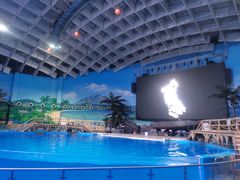 -海合安武汉极地海洋公园