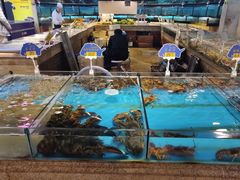 水产区-渔公码头·九龙湾国际饭店