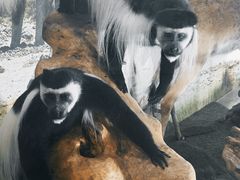 -郑州自然博物馆(惠济区)