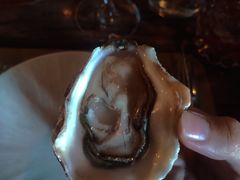 -斯普汇生蚝牛排馆(中骏世界城店)