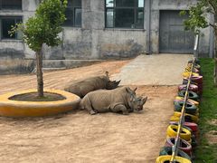 -西霞口神雕山野生动物世界