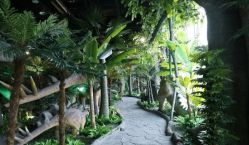 -恐龙探索乐园(磁器口店)