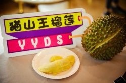 -海豚湾高端月子会所(黄浦店)