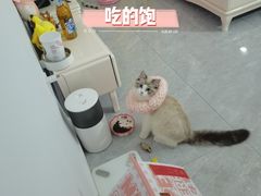 -瑞派天宁宠物医院·猫科·异宠中心