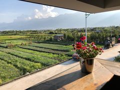 -翠田Green Field Kitchen
