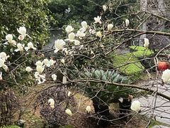 -明月山天沐温泉度假村