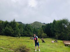 -硗碛藏寨·神木垒景区