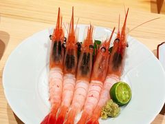 -鲤·鮨KOISUSHI