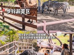 -济南野生动物世界