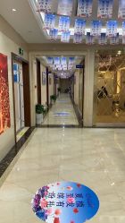 -碧莲盛·不剃发植发