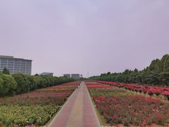 -南阳建业森林半岛假日酒店