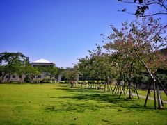 -厦门国家会计学院