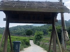 -龙坞茶村